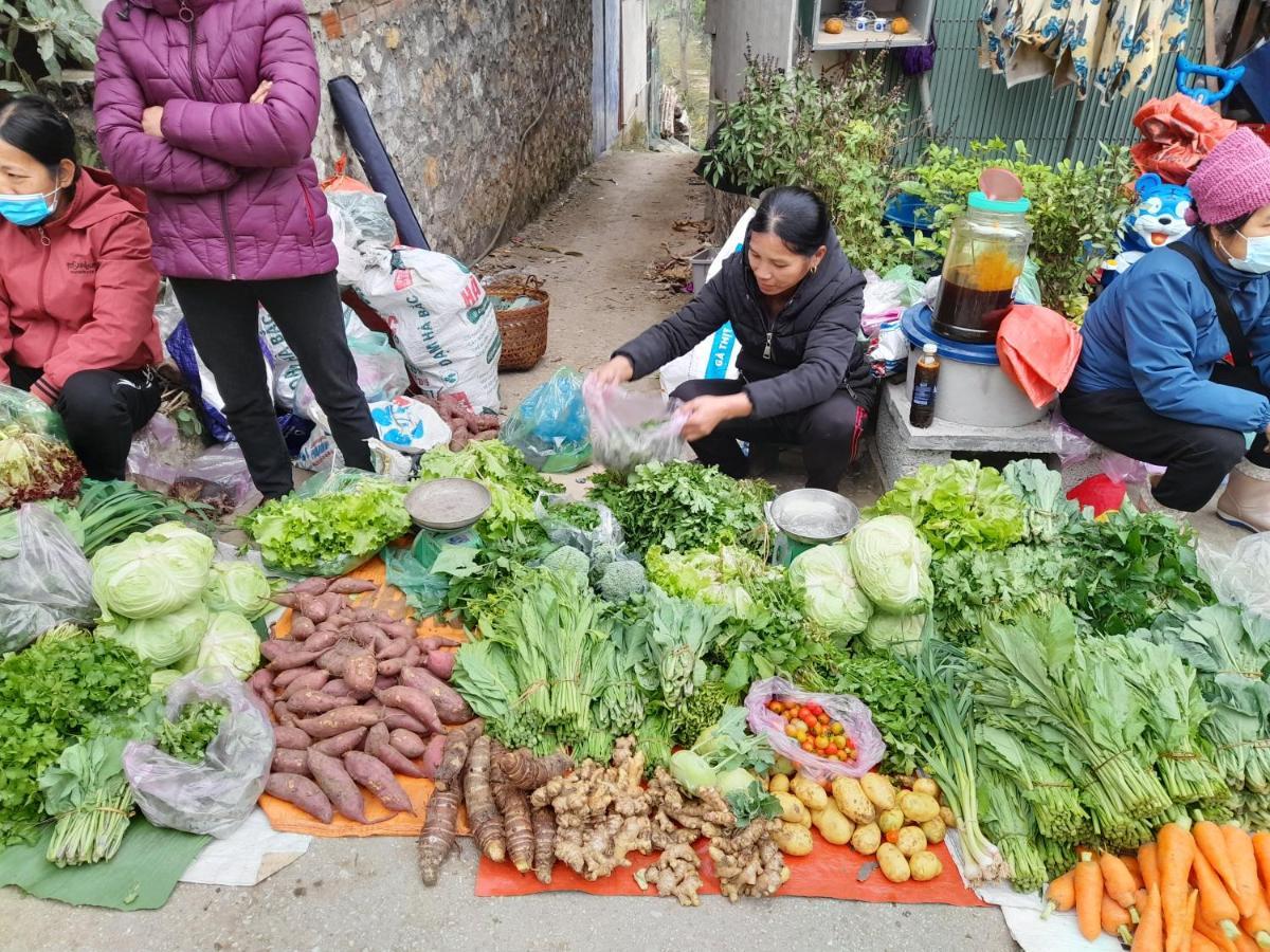 Khach San Vuon Quoc Gia Ba Be Hotel Bac Kan Eksteriør billede