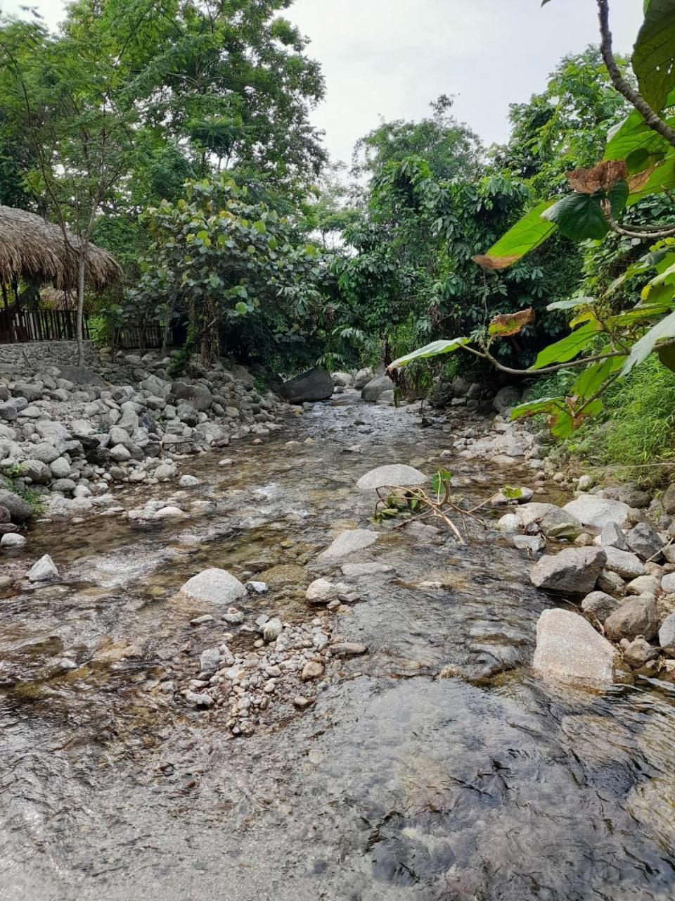 Khach San Vuon Quoc Gia Ba Be Hotel Bac Kan Eksteriør billede