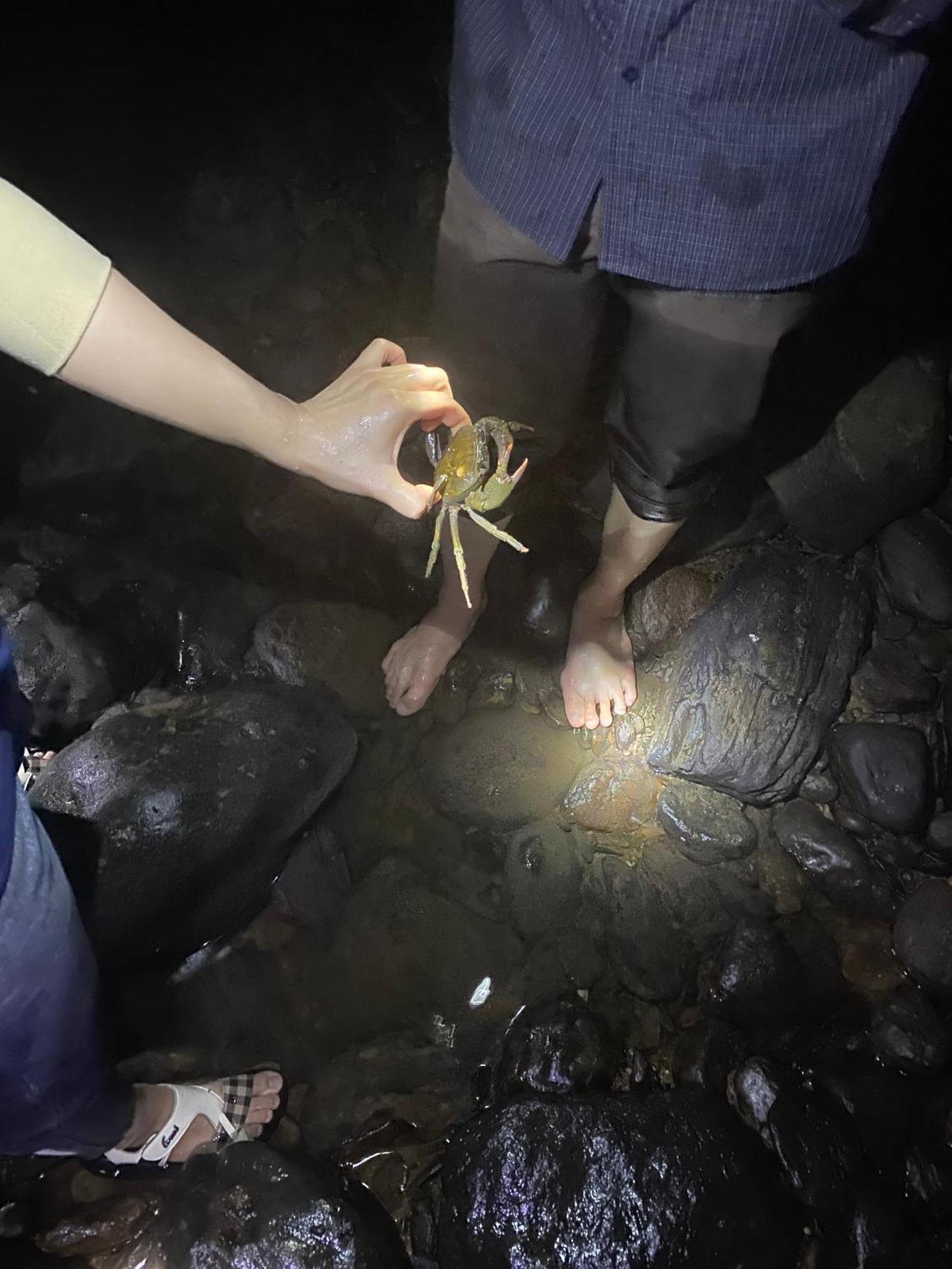 Khach San Vuon Quoc Gia Ba Be Hotel Bac Kan Eksteriør billede