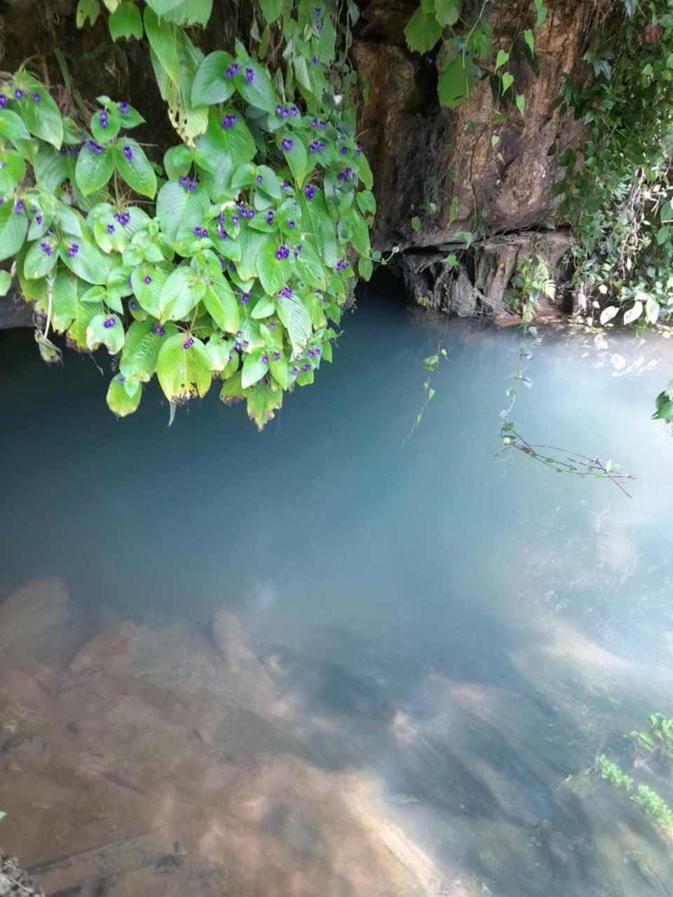 Khach San Vuon Quoc Gia Ba Be Hotel Bac Kan Eksteriør billede