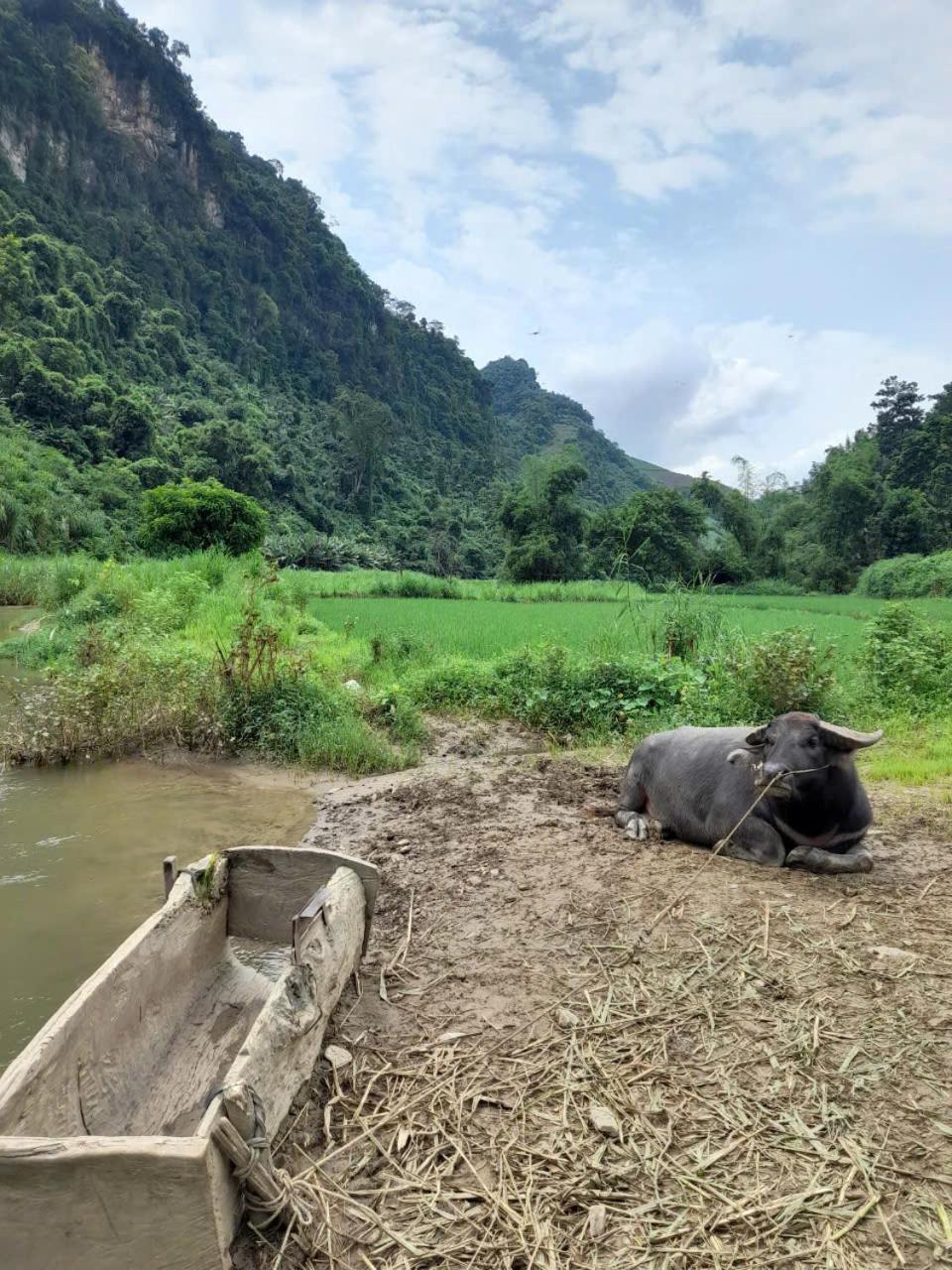 Khach San Vuon Quoc Gia Ba Be Hotel Bac Kan Eksteriør billede