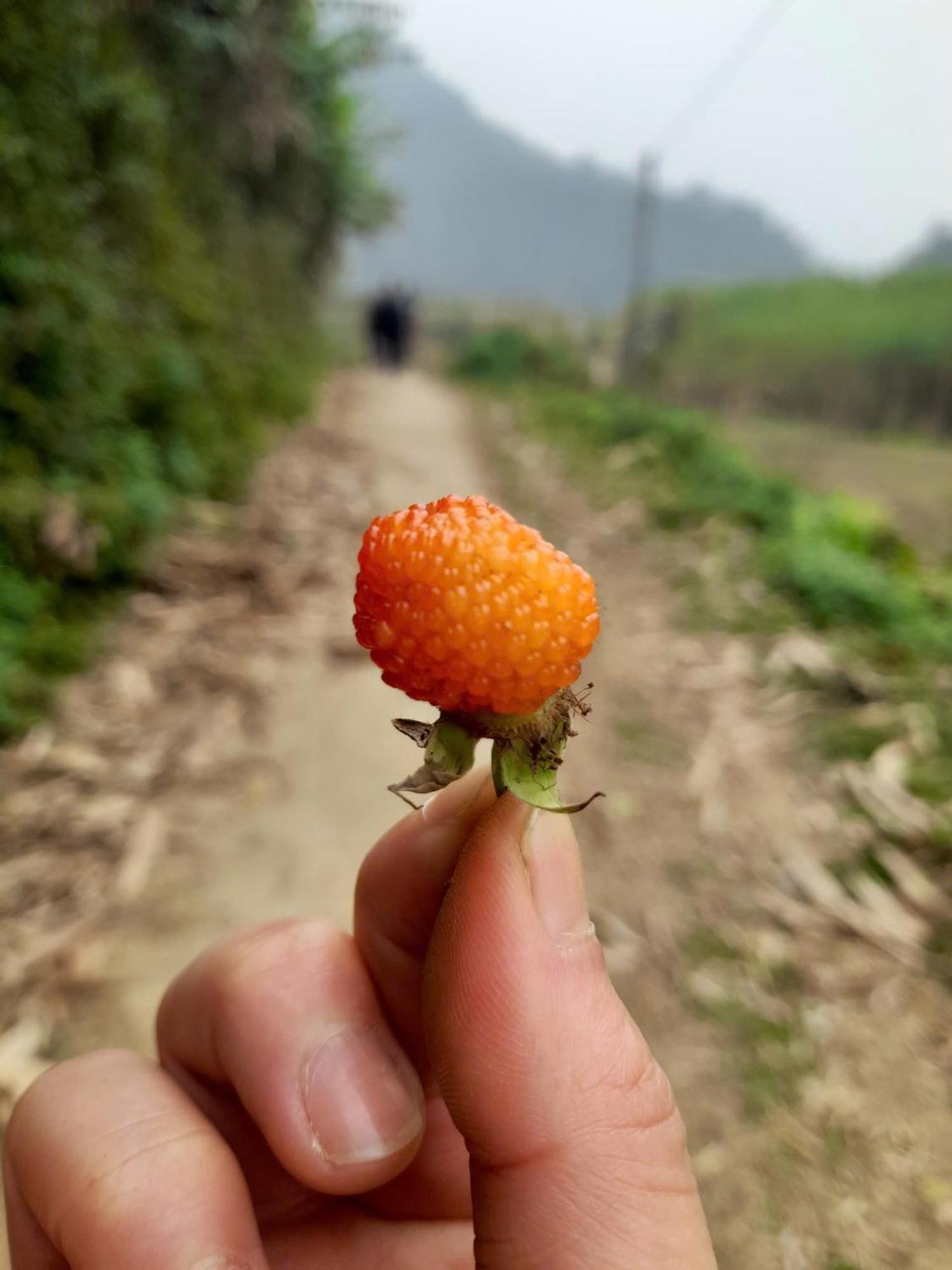 Khach San Vuon Quoc Gia Ba Be Hotel Bac Kan Eksteriør billede